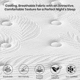 Twin XL Mattress 14 Inch Memory Foam Hybrid Mattress in a Box, Medium