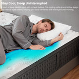 Twin XL Mattress 14 Inch Memory Foam Hybrid Mattress in a Box, Medium