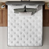 Twin XL Mattress 14 Inch Memory Foam Hybrid Mattress in a Box, Medium